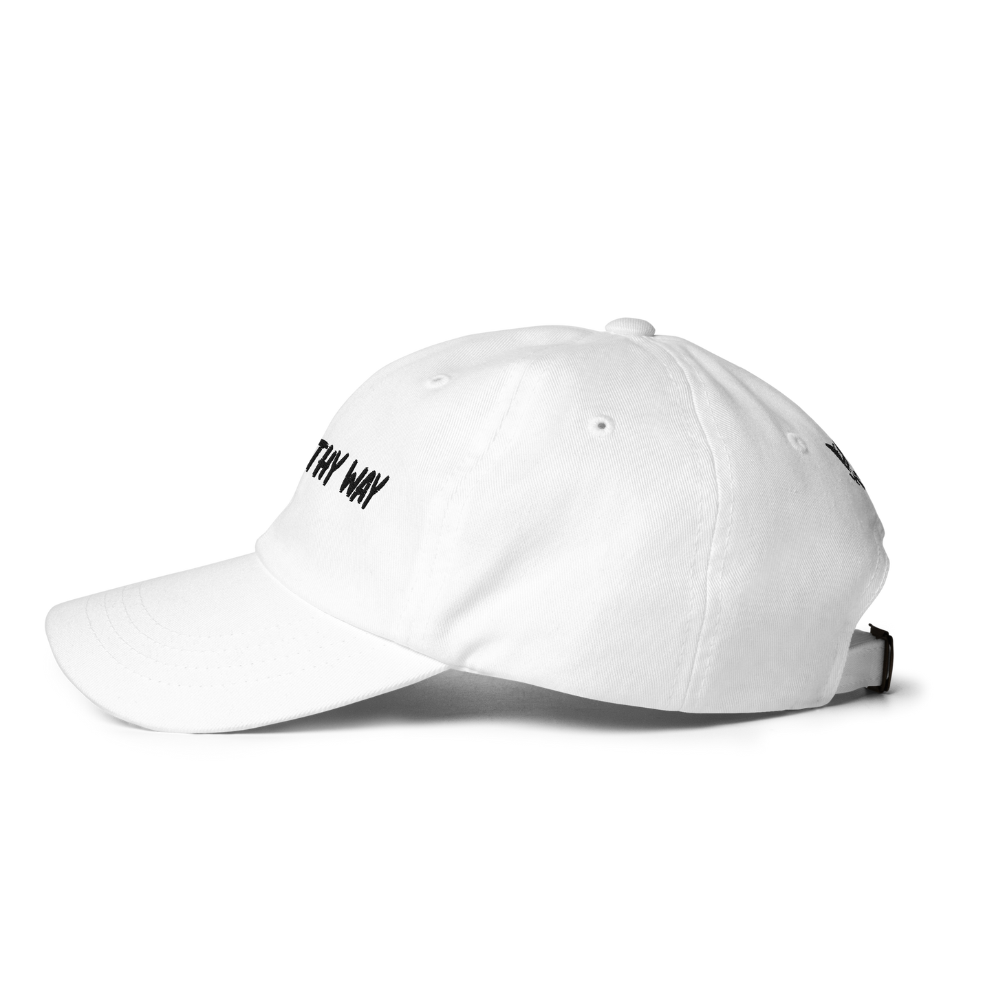 The Healthy Way Dad hat