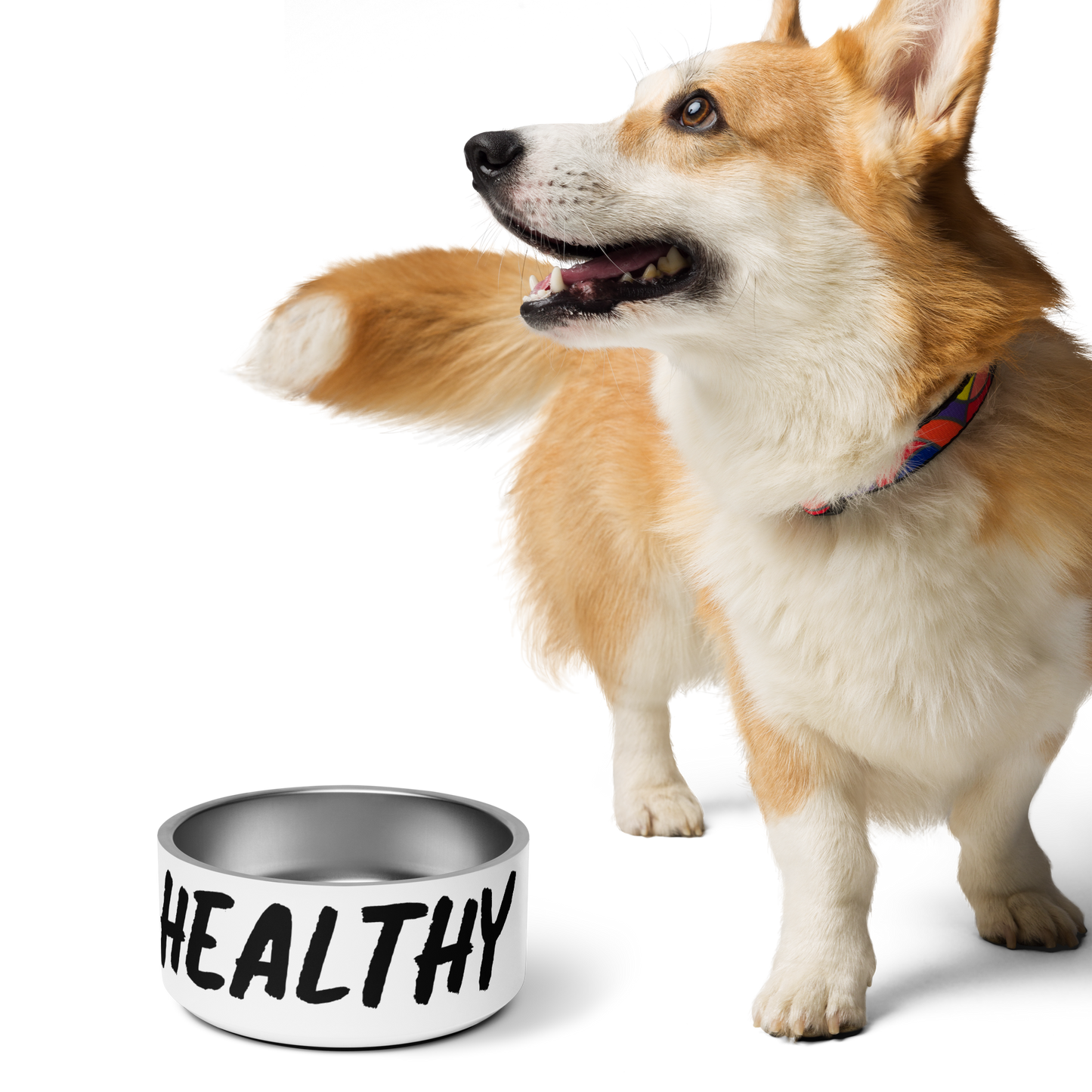 The Healthy Way Pet bowl