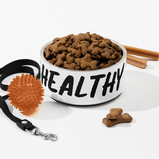 The Healthy Way Pet bowl